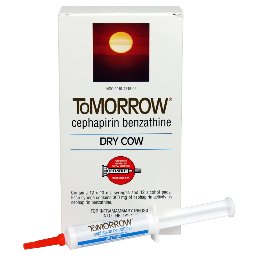 Boehringer Ingelheim ToMORROW (Cephapirin Benzathine) Dry Cow Mastitis Treatment