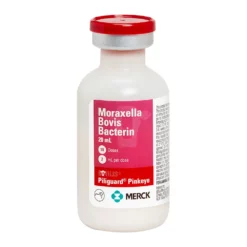 Bovilis Piliguard Pinkeye Cattle Vaccine