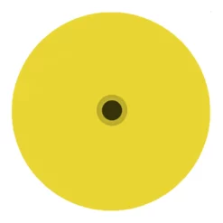 DuFlex Standard Round Blank Tag