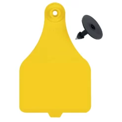 DuFlex Extra Large Blank Tags