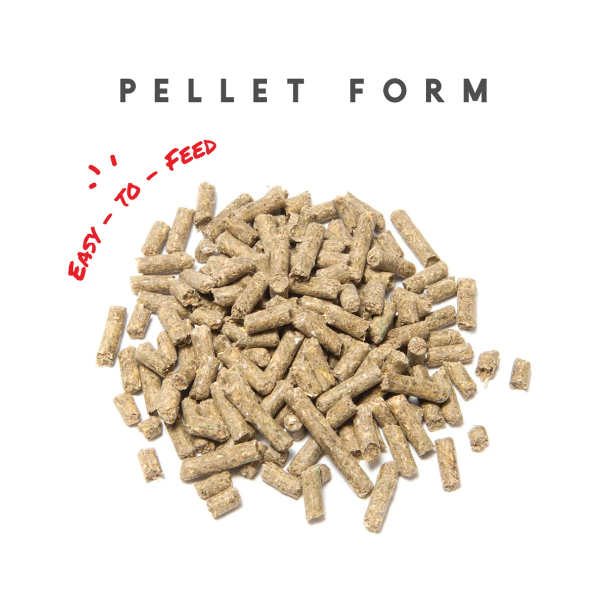 Sho-Glo Complete Vitamin + Mineral Horse Supplement - Image 4