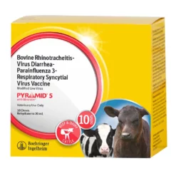 Boehringer Ingelheim Pyramid 5 Cattle Vaccine