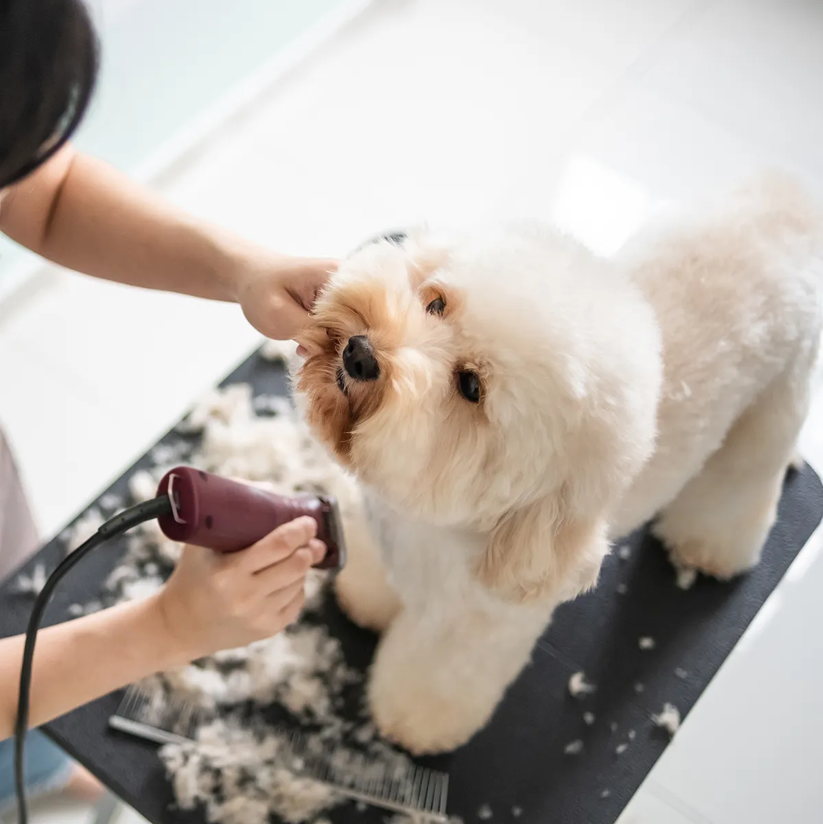 Andis UltraEdge AGC Super 2-Speed Clipper - Image 7