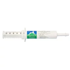DECHRA Equidone Oral Gel Rx