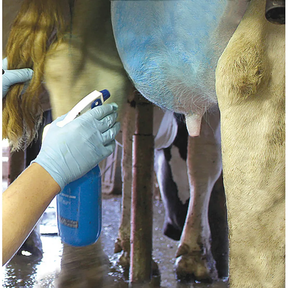 Udder Comfort Spray - Image 2