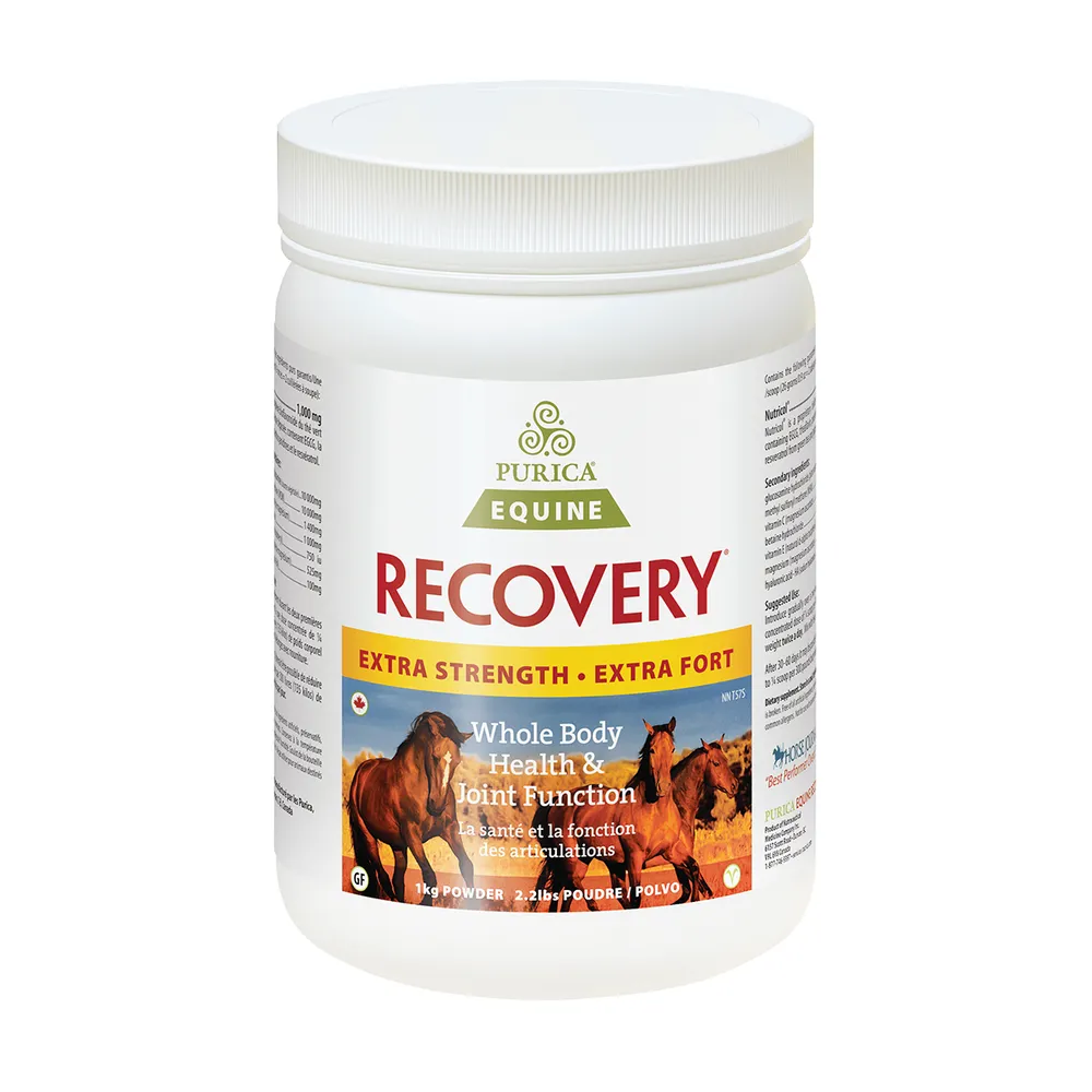 Recovery Equine Extra Strength With HA