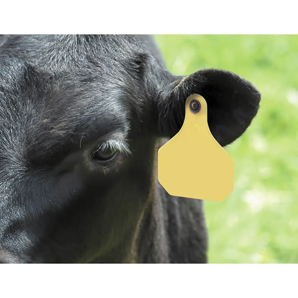 XP 820 Insecticide Cattle Ear Tags - Image 2