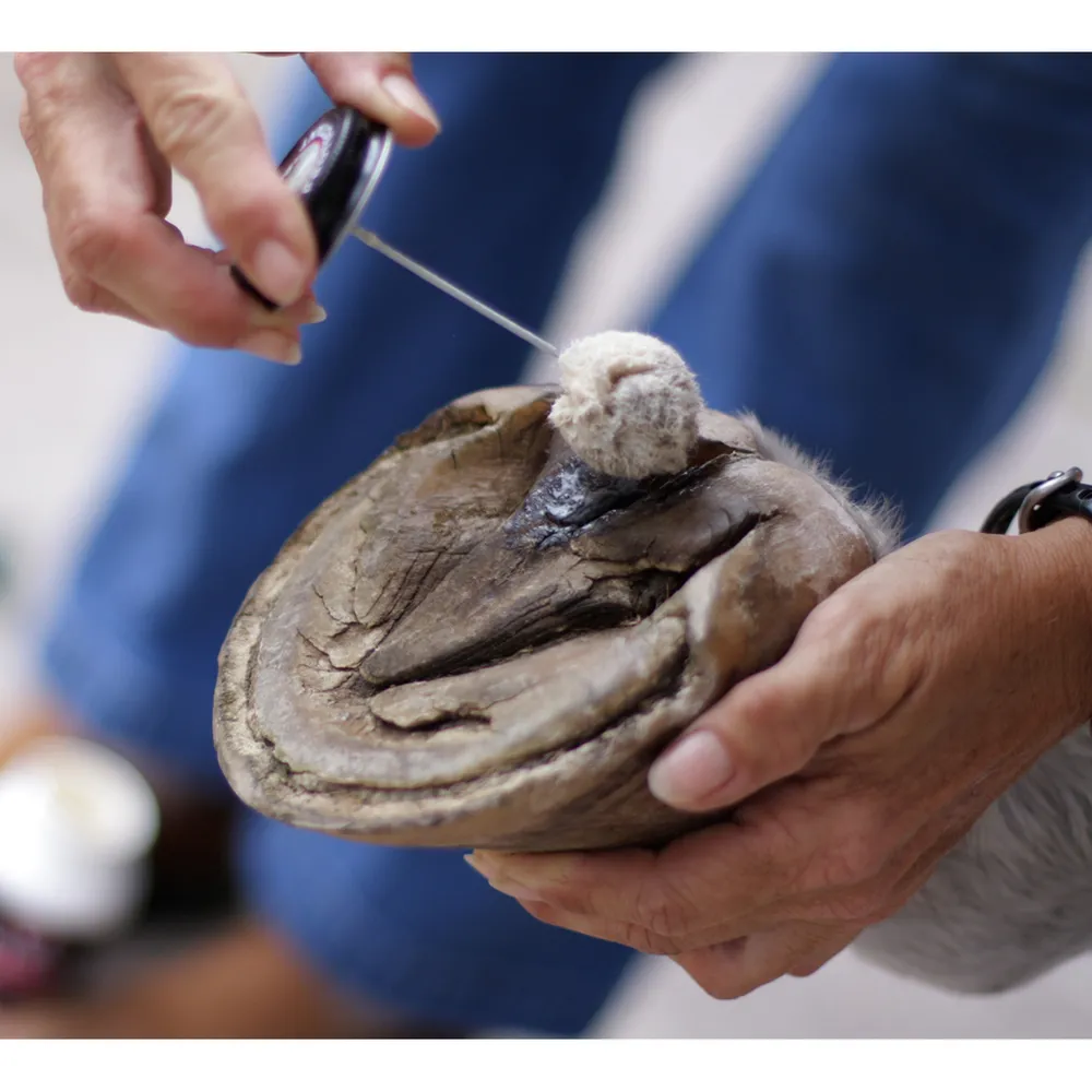 Sav-A-Hoof Protectant For Horses - Image 2