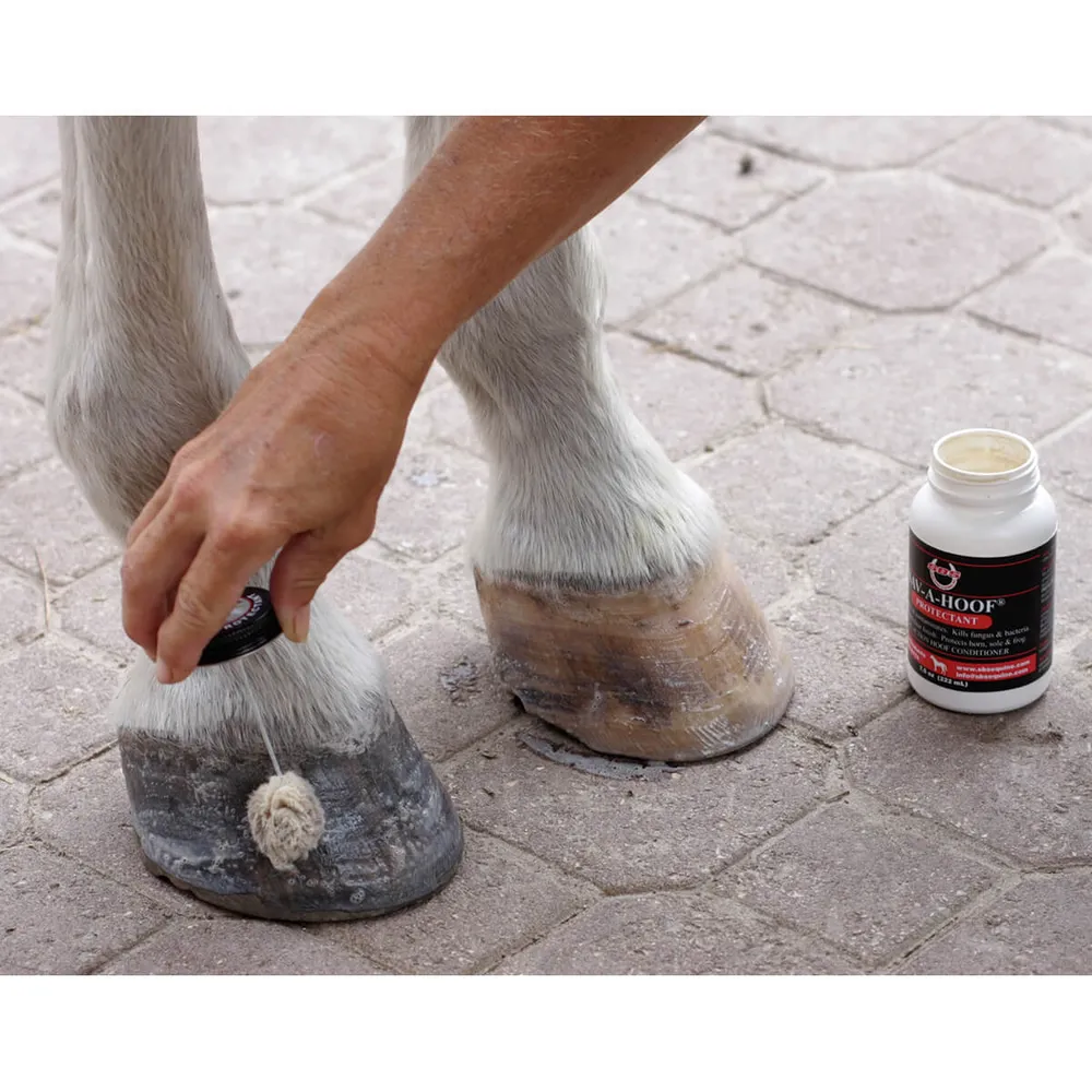 Sav-A-Hoof Protectant For Horses - Image 3