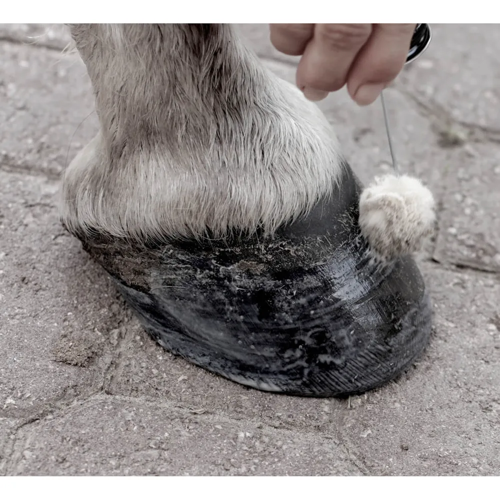 Sav-A-Hoof Protectant For Horses - Image 4