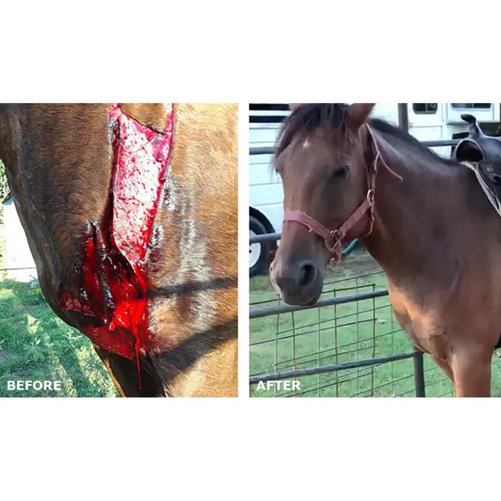 Vetericyn Plus Antimicrobial Wound & Skin Care Spray - Image 2