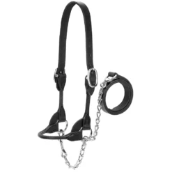 Dairy And Beef Rounded Show Halter