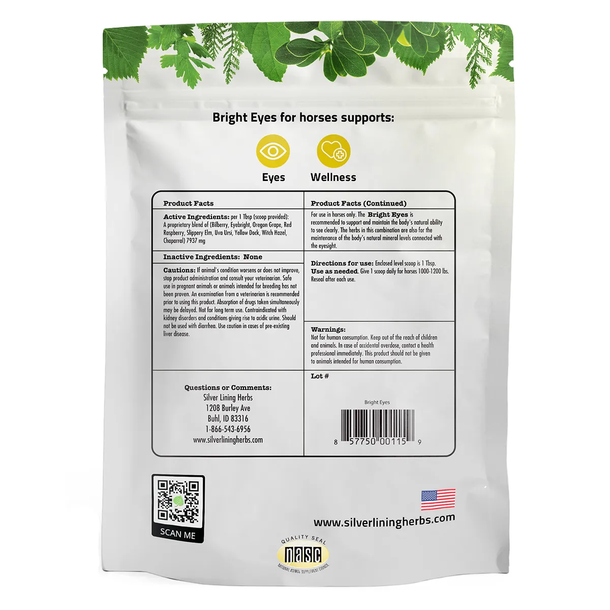 Bright Eyes For Horses - Image 2