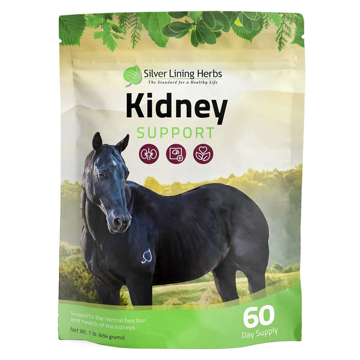Kidney Support For Horses