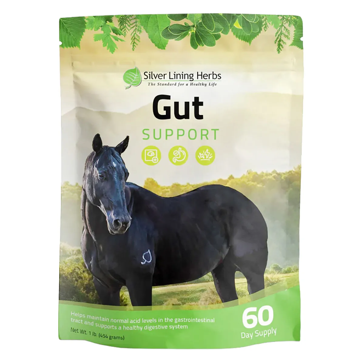 Gut Support For Horses
