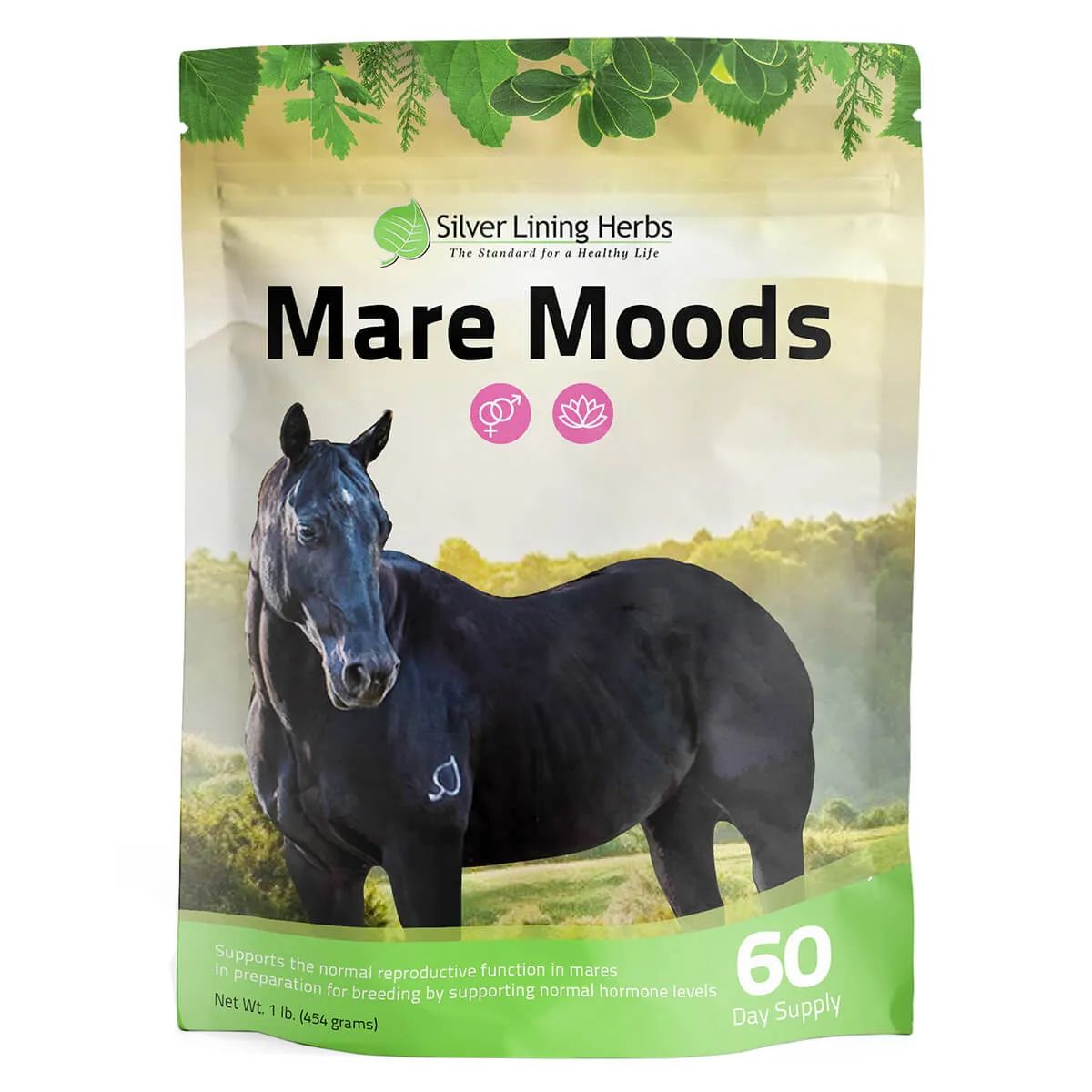 Mare Moods For Horses