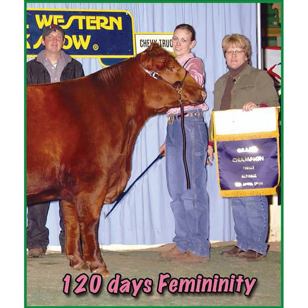 Femininity For Heifers - Image 2