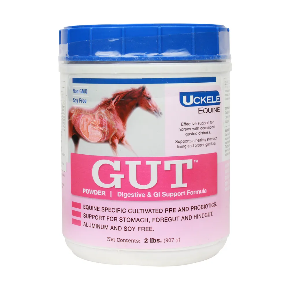 GUT Powder For Horses