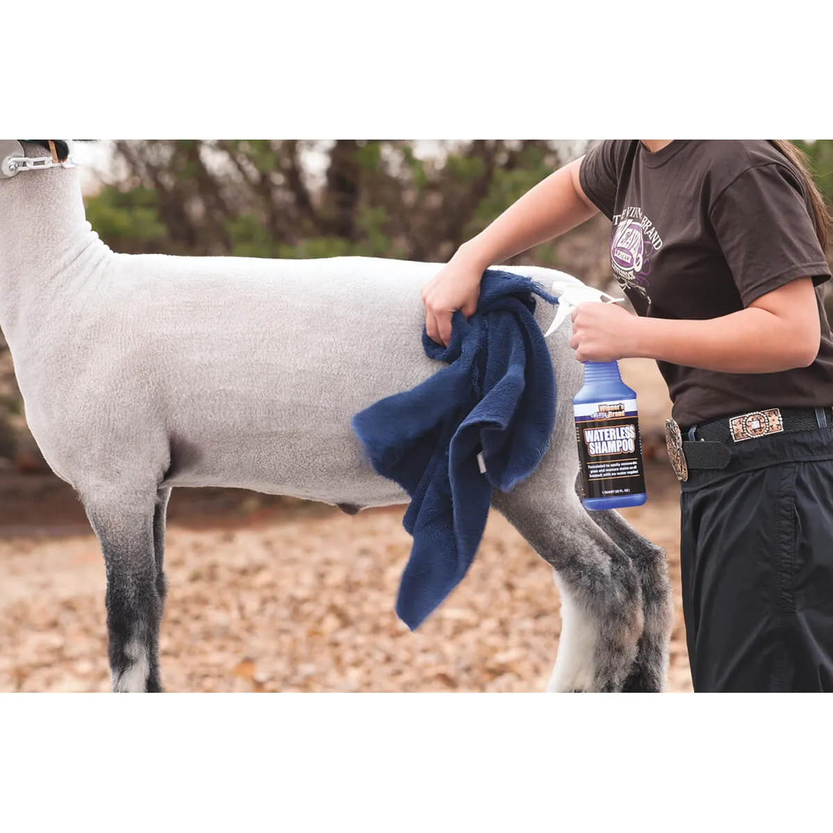 Waterless Shampoo - Image 2