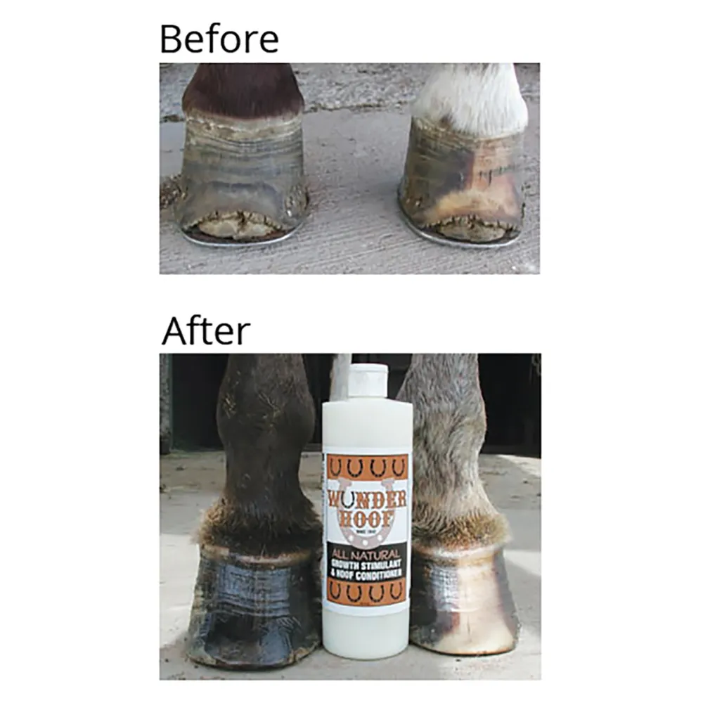 Wunder Hoof All Natural Stimulant And Hoof Conditioner - Image 3