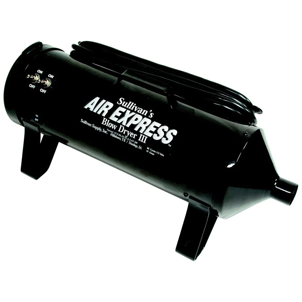 Air Express III Blow Dryer