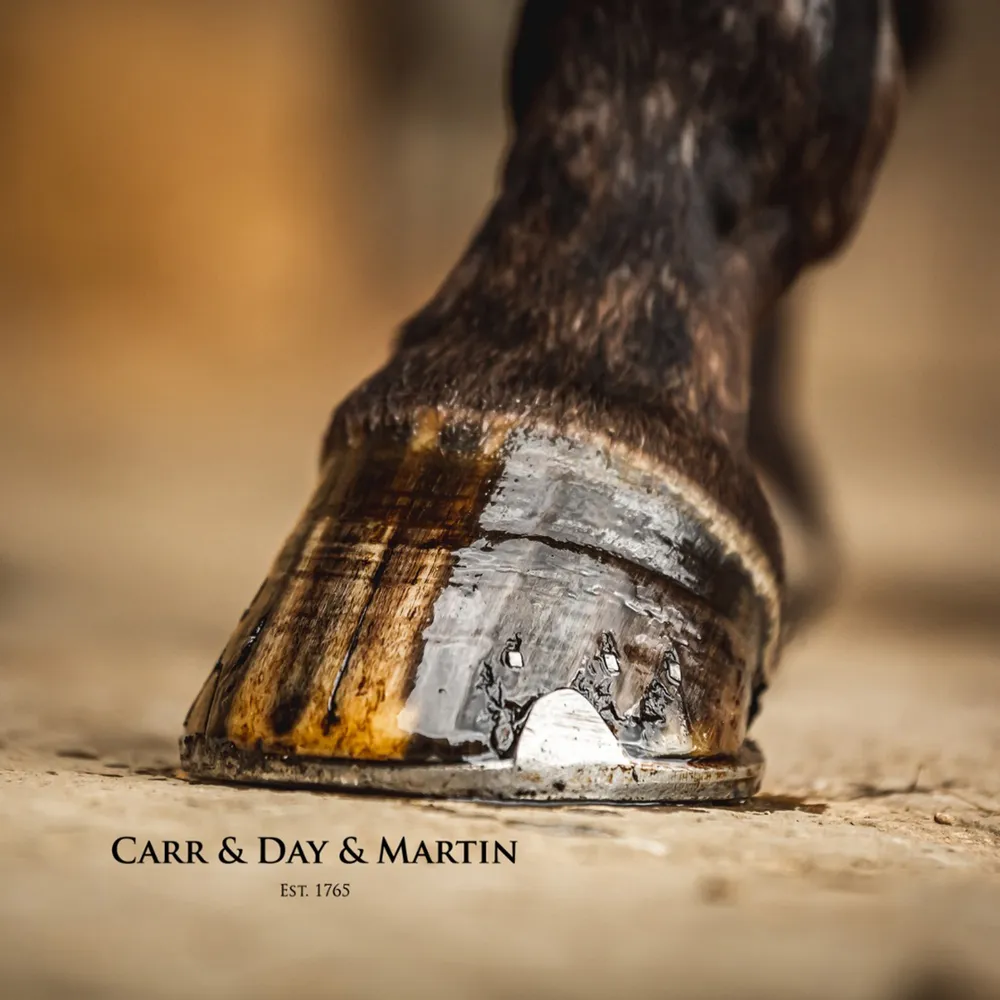 Cornucrescine Tea Tree Hoof Oil For Horses - Image 3