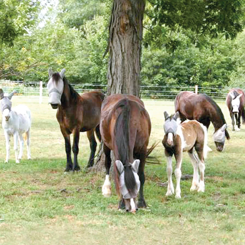 Crusader Long Nose Pasture Fly Mask With Ears - Image 3
