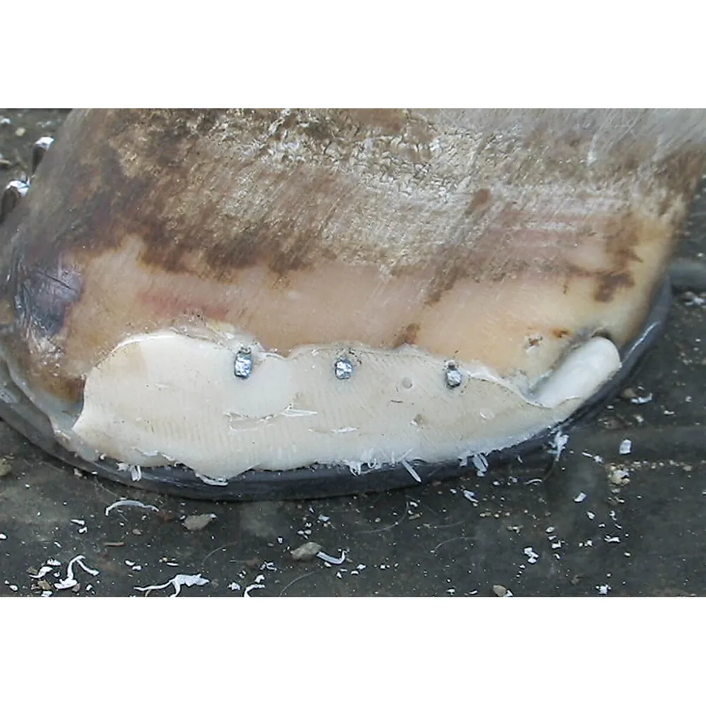 Adhere Original Hoof Packing For Horses - Image 3