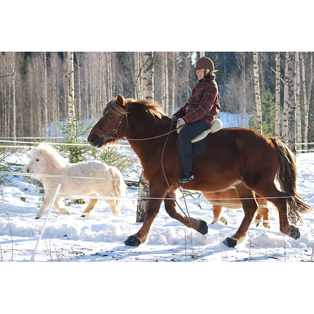 Cavallo Simple Slim Sole Horse Boots - Image 6