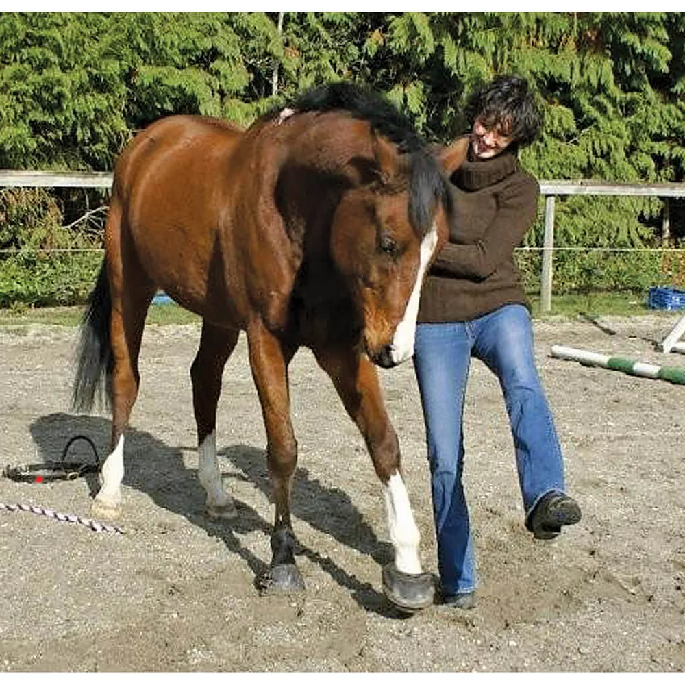 Cavallo Sport Regular Sole Horse Boots - Image 5