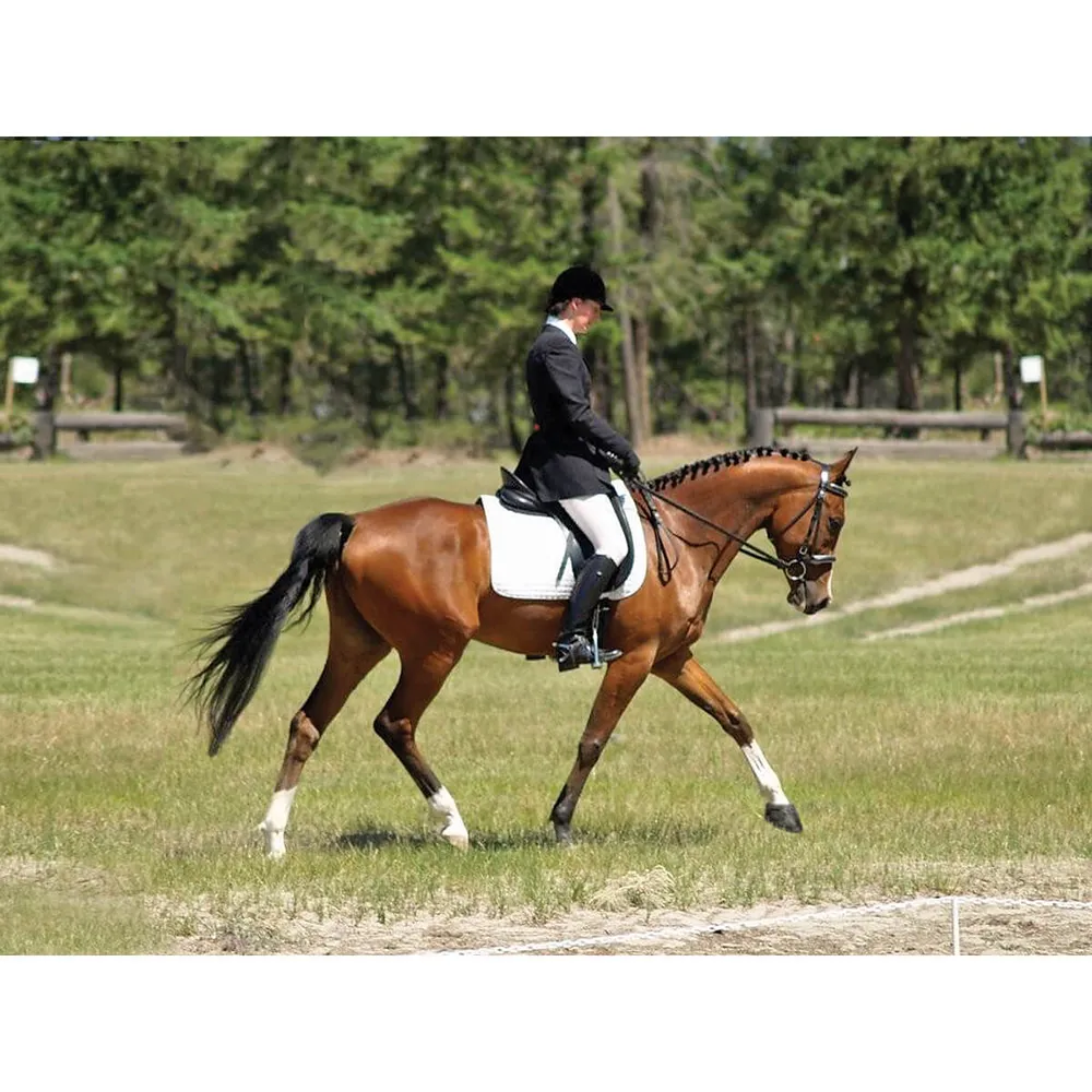 Cavallo Sport Regular Sole Horse Boots - Image 6