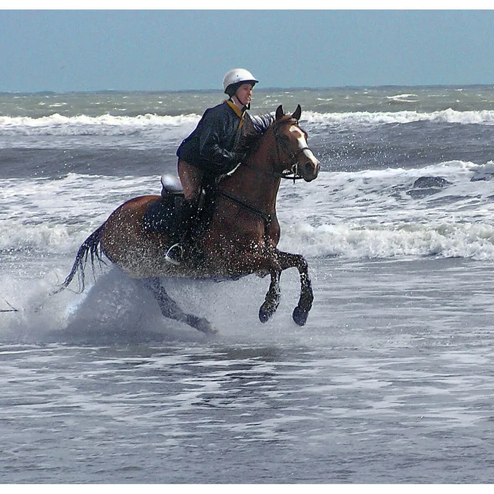 Cavallo Sport Regular Sole Horse Boots - Image 7