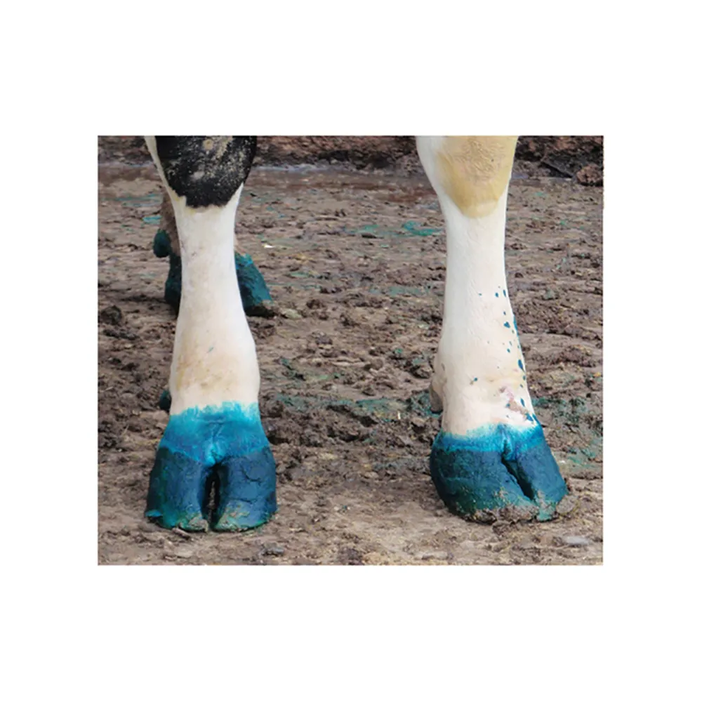 Dragonhyde Dust Dissolvable Hoof Bath Powder - Image 4