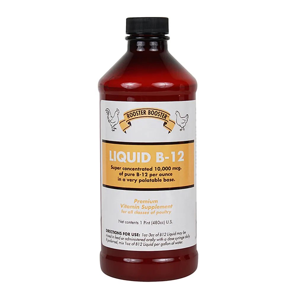 Liquid B-12 Supplement