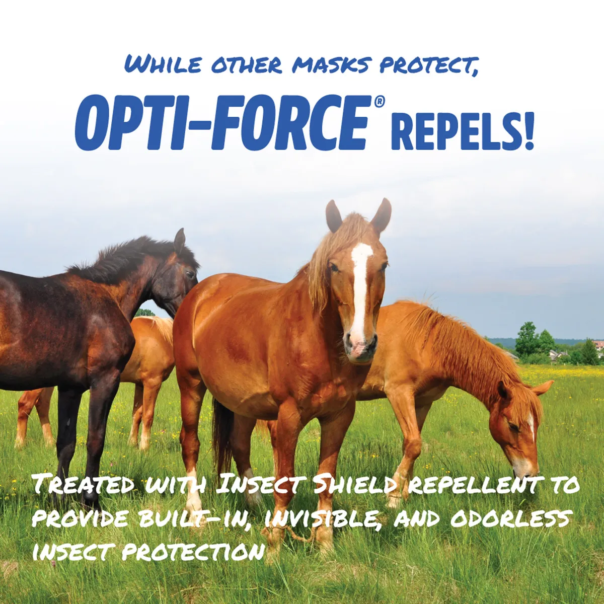 Opti-Force Equine Fly Mask Without Ears - Image 5