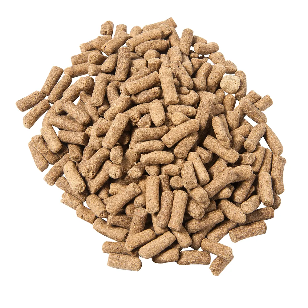 Renew Gold High Performance Equine Nutrition Supplement - Image 3