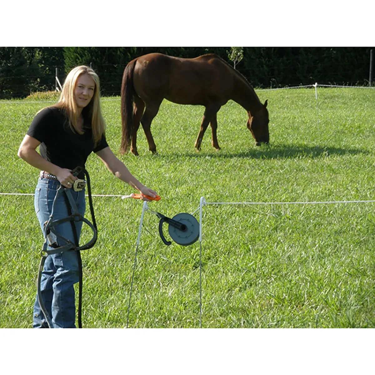 Horse Corral Kit - Image 2