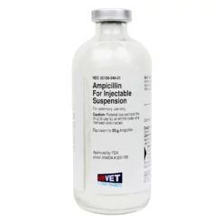 Ampicillin Injectable Rx