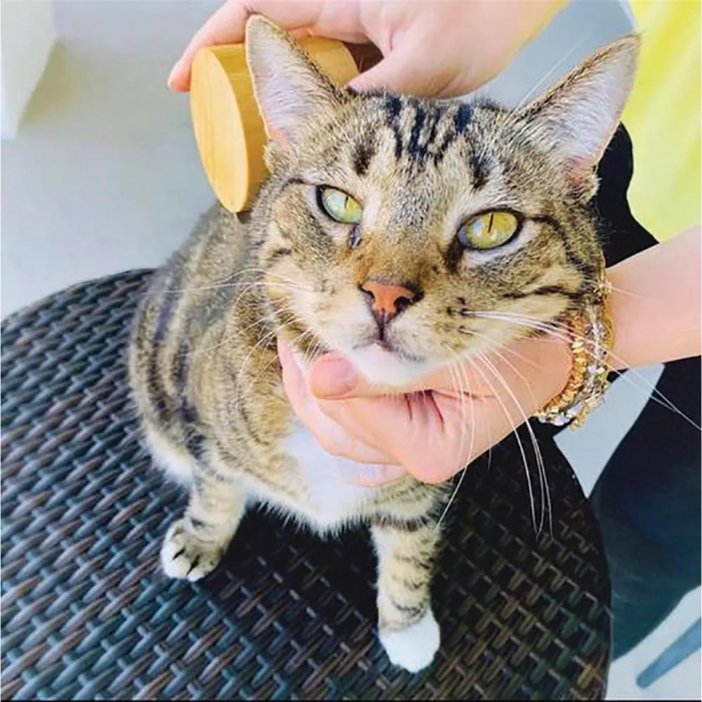 SleekEZ Ultimate Deshedding Grooming Tool - Image 2