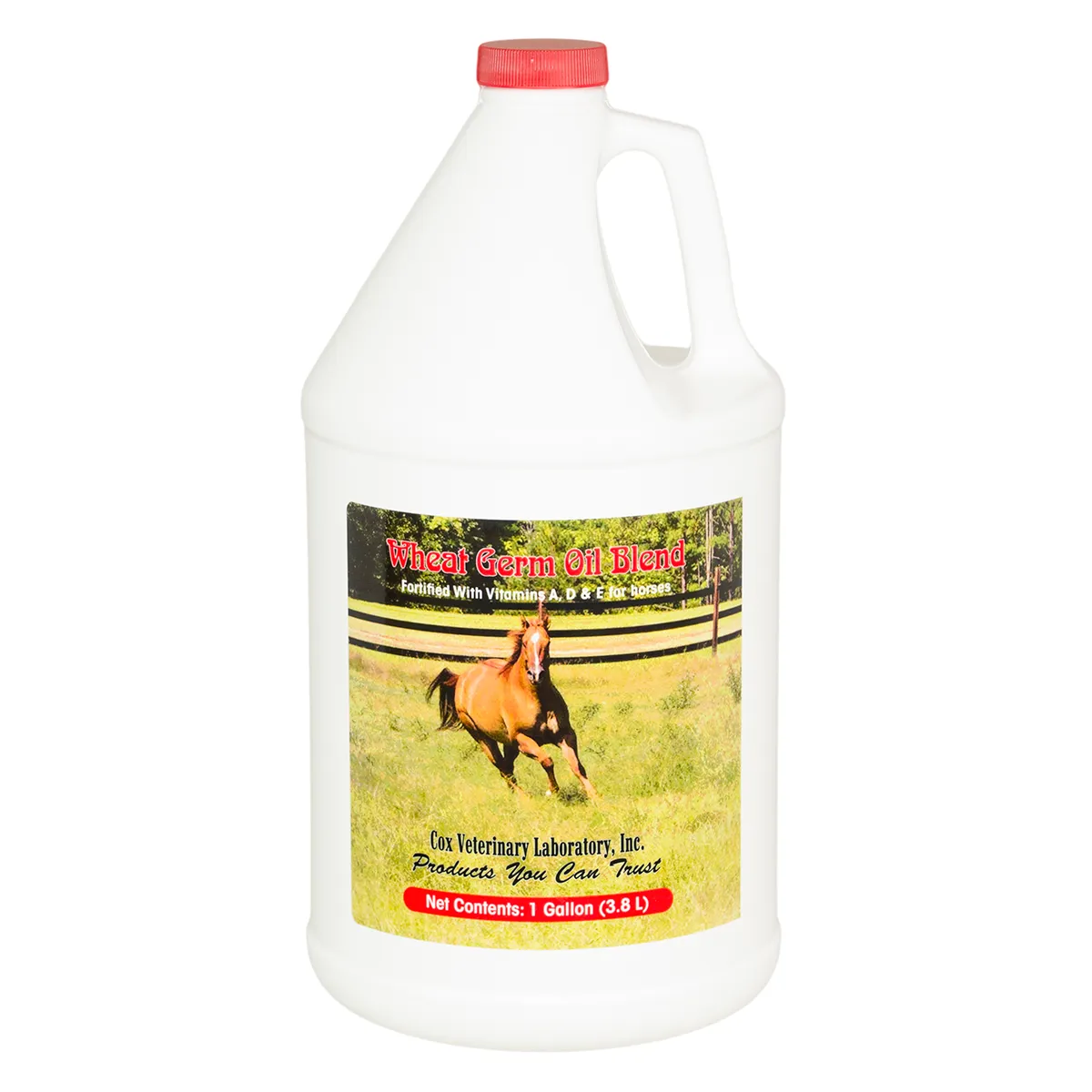 Wheat Germ Oil Blend For Horses