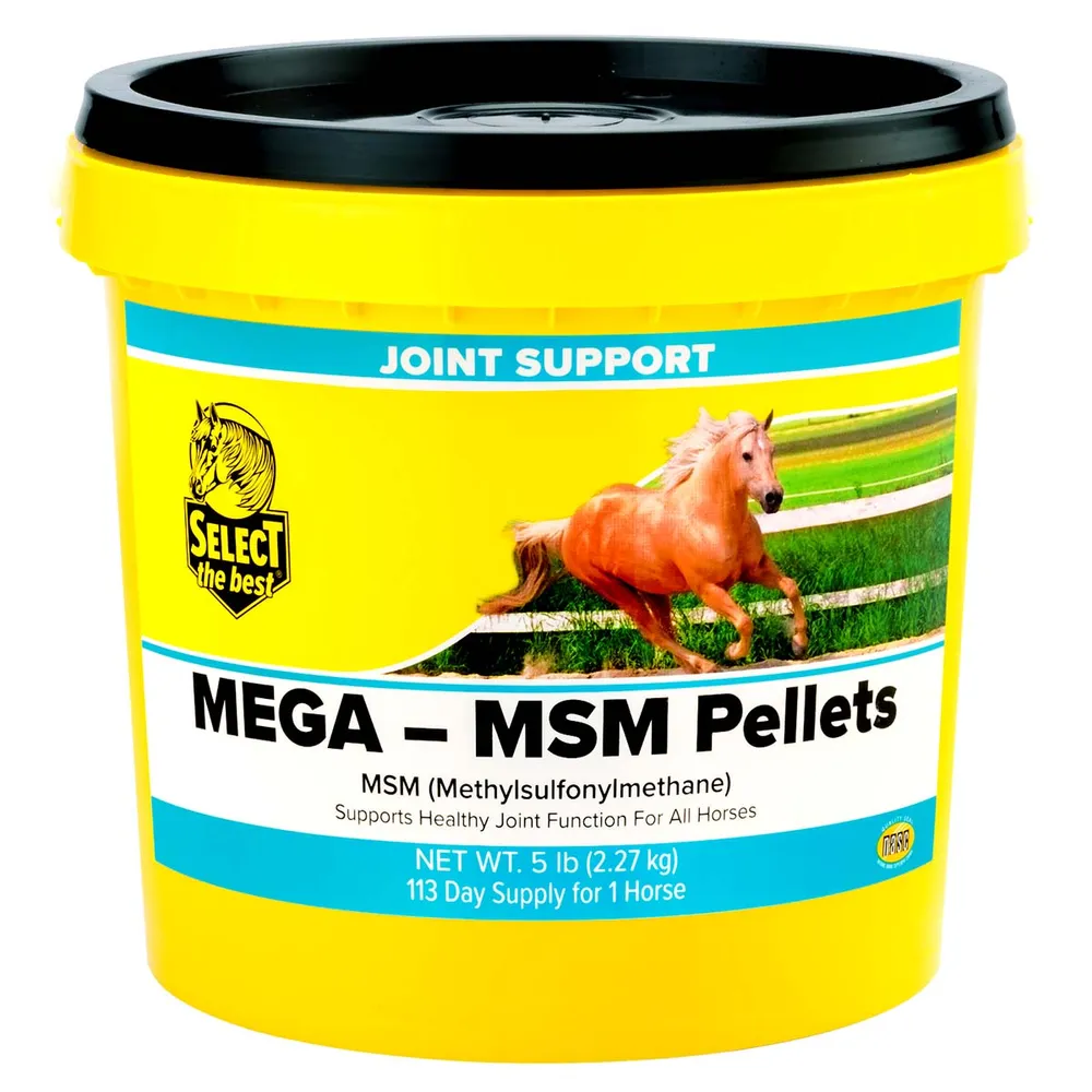 Mega-MSM Horse Joint Supplement