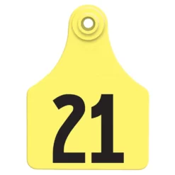 Allflex Global Large Numbered Tags