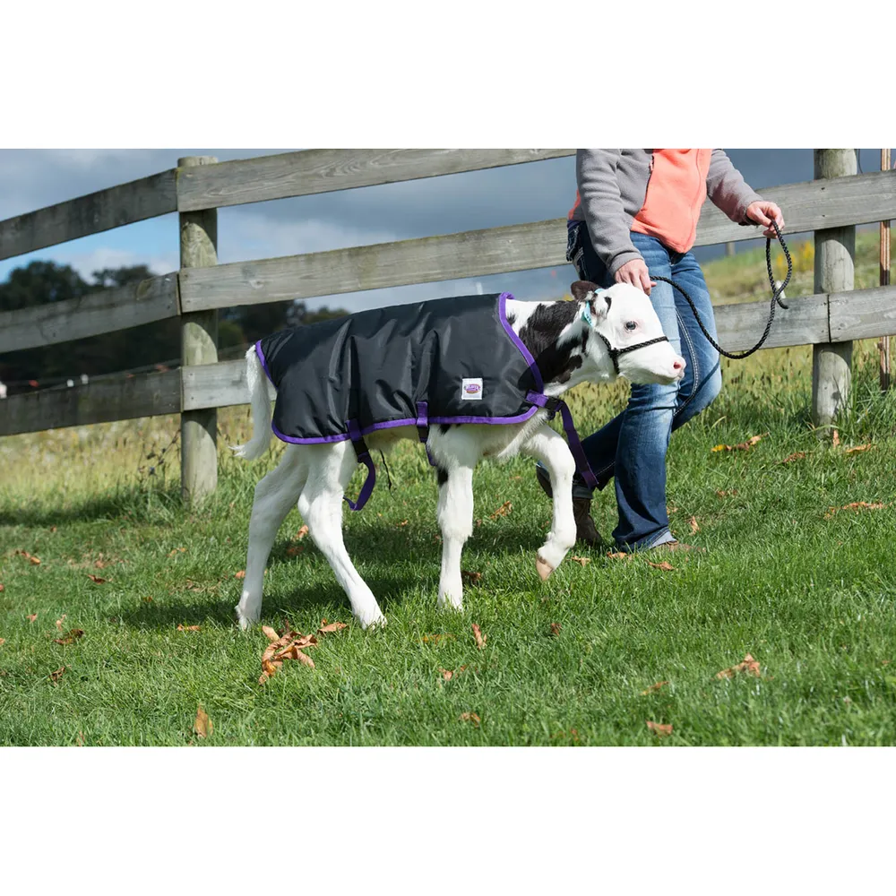 Weaver Livestock Pro Calf Blanket - Image 2