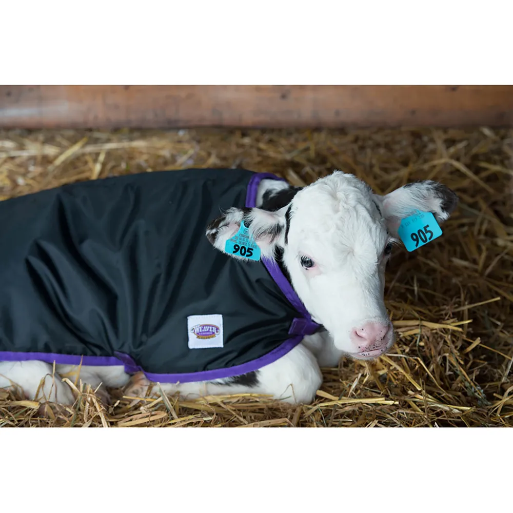 Weaver Livestock Pro Calf Blanket - Image 3