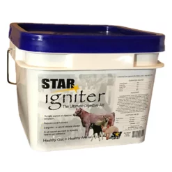 STAR Igniter