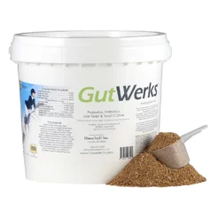 GutWerks Digestive Horse Supplement