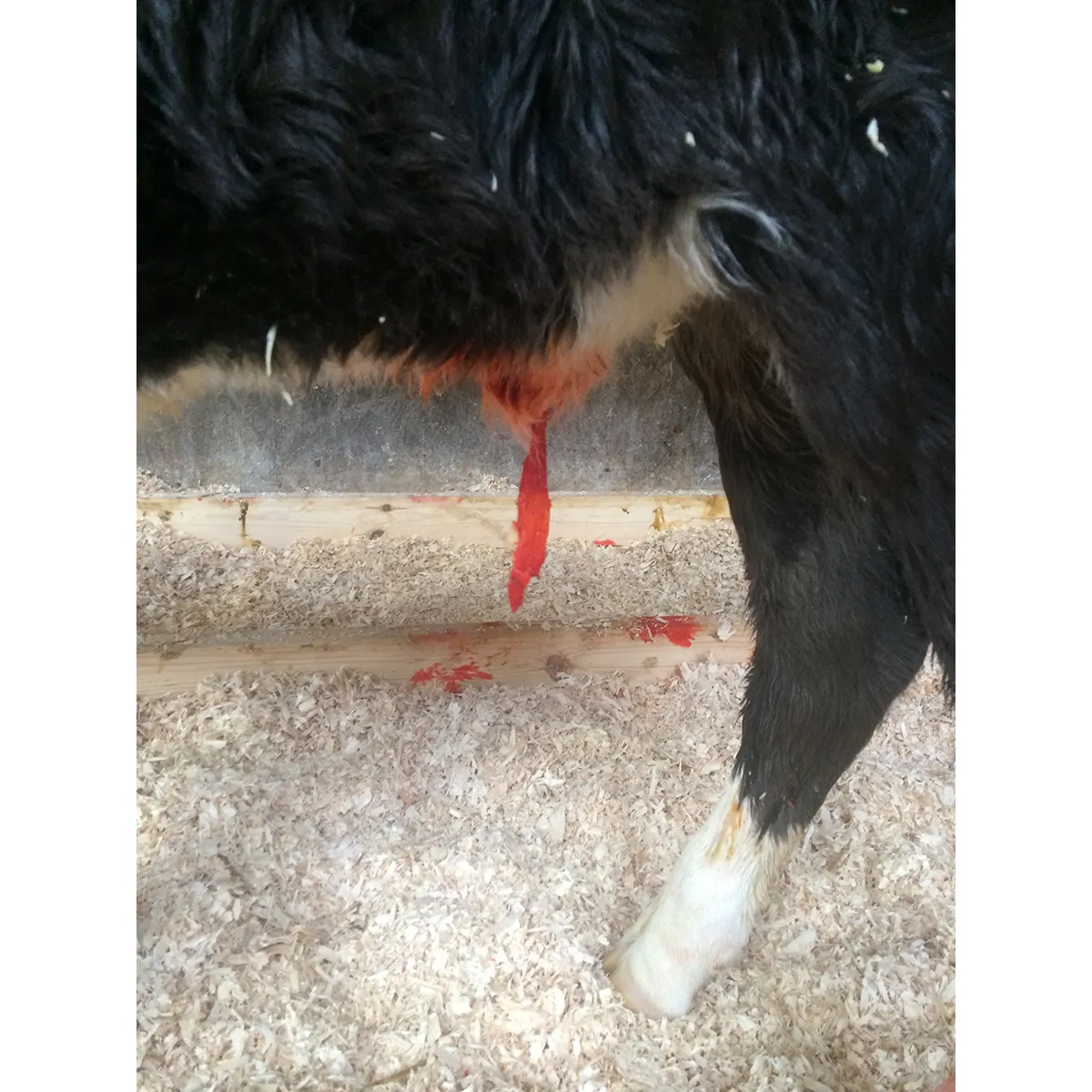 Vetericyn Super 7 Ultra - Image 2