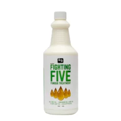 Fighting Five Fungus Treatment
