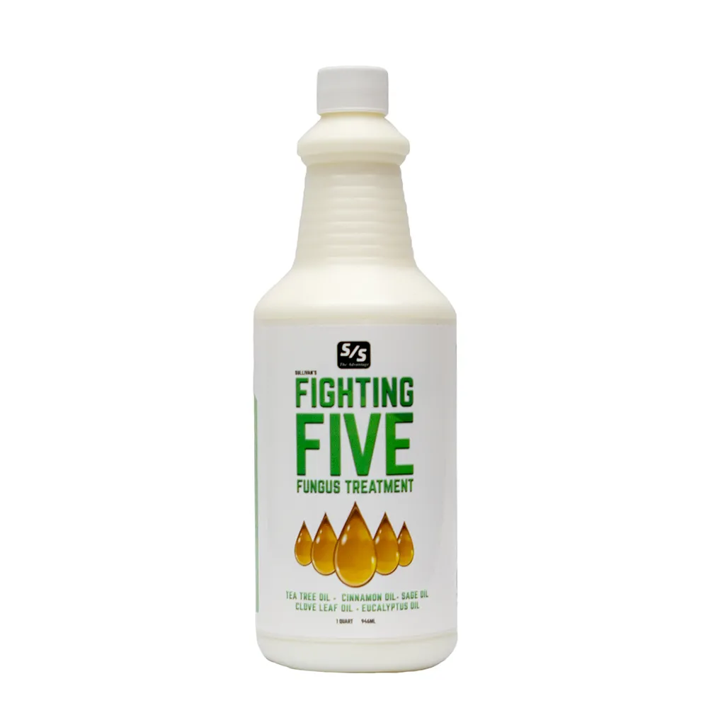 Fighting Five Fungus Treatment
