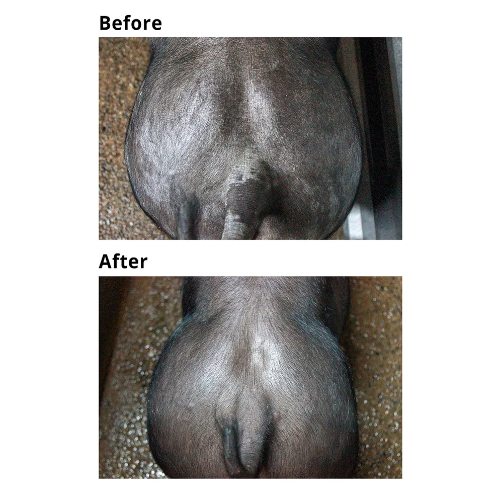 Renew Skin Restoring Scrub - Image 2